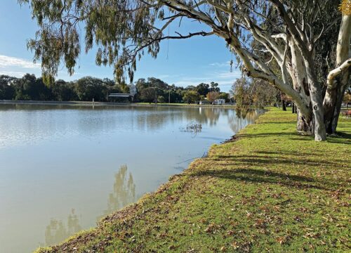Why Location Matters: Exploring the Newell Highway from Your Finley Stopover