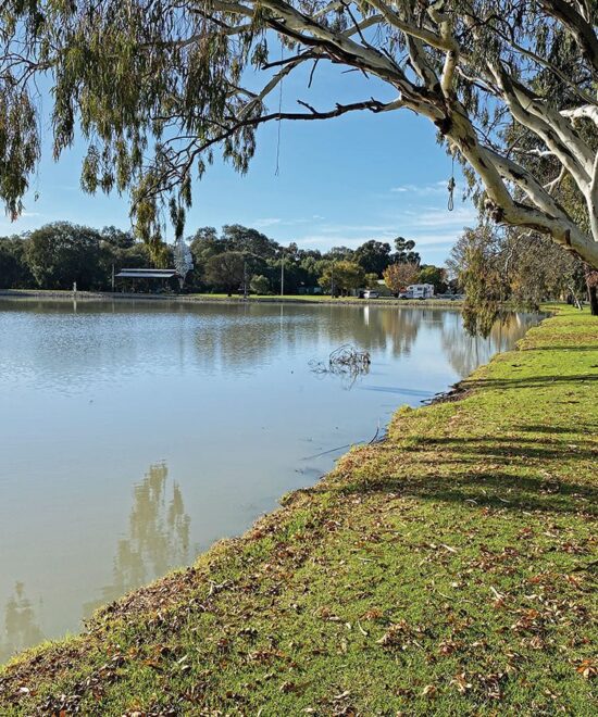 Why Location Matters: Exploring the Newell Highway from Your Finley Stopover